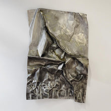 Load image into Gallery viewer, The meaning of history