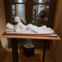 Load image into Gallery viewer, Literature