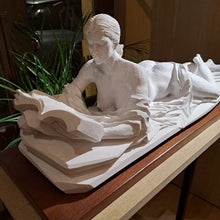 Load image into Gallery viewer, Literature