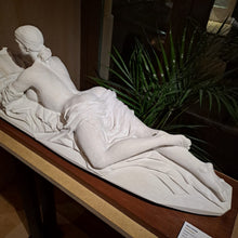 Load image into Gallery viewer, Literature