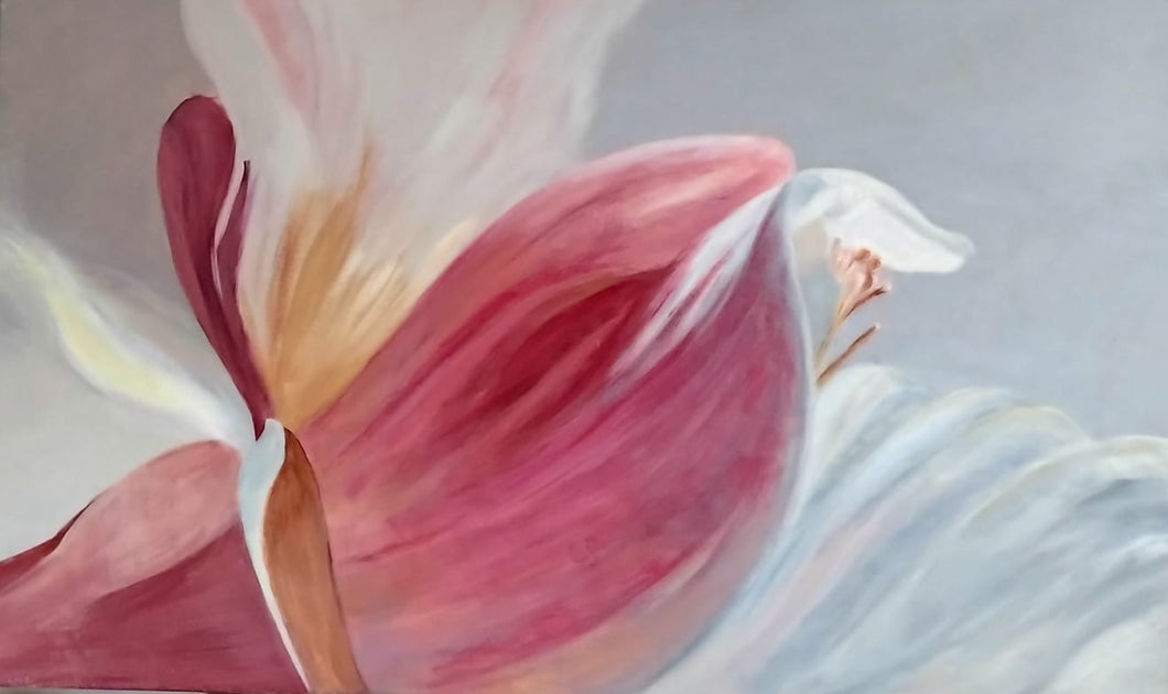 Between petals and dreams