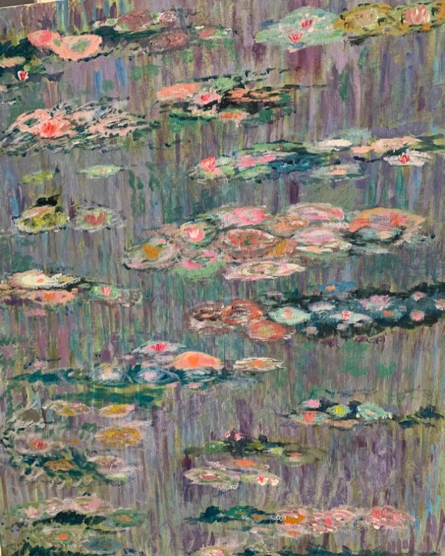 Colorful water lilies