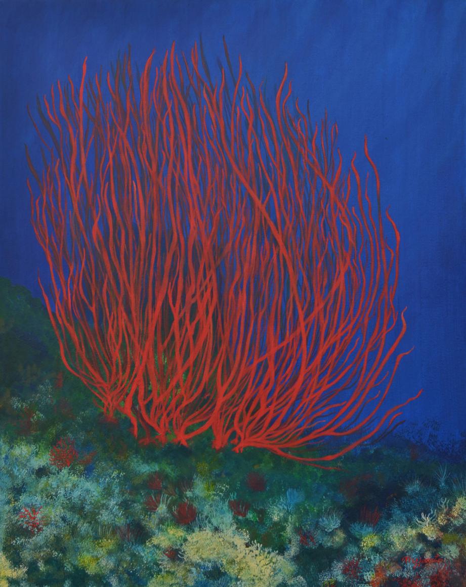 Soft coral